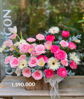 “Hồng Vân Ái Lạc”