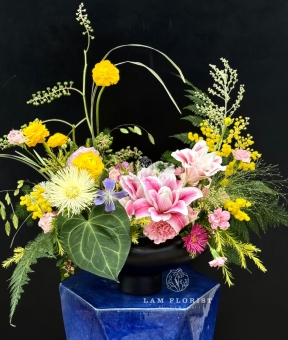 RẠNG ĐÔNG - BÌNH HOA NGHỆ THUẬT