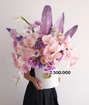 Mystic Orchid Symphony – Giao Hưởng Lan Tím Huyền Bí