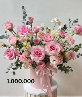  “Lạc Thần Thanh Nhã – Divine Blush Elegance”