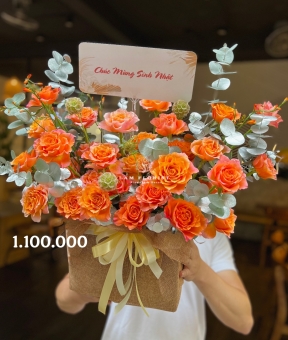 Cam Spirit Thịnh Vượng