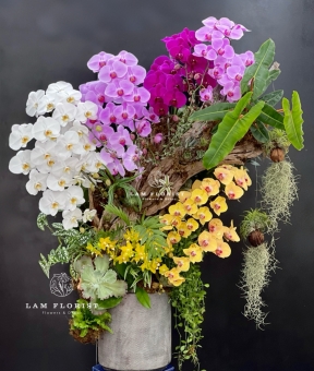 Sắc Ngọc Thiên Nhiên – The Orchid Symphony