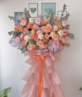 “Peach Blossom – Dịu Dàng Nắng Sớm”