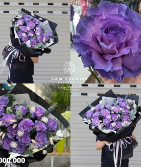 “Lavender Dream – Giấc Mơ Dịu Êm”