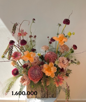 “Dấu Ấn Thanh Nhã – Elegant Harmony”