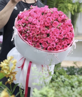 Sofia Royale – Vũ Điệu Hồng Kiêu Hãnh