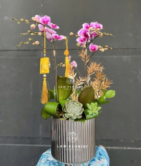 Chậu Lan Hồ Điệp Mini 2 Cành Tím Phớt – Chậu Sứ Men Bạc, Trang Trí Sen Đá & Phụ Kiện Tết