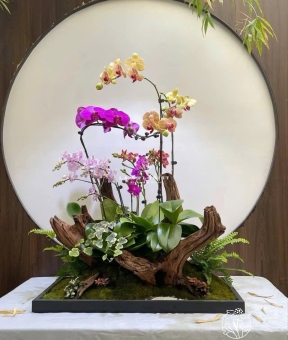 Lụa LAn Hồ Điệp Tiểu Cảnh Cao Cấp