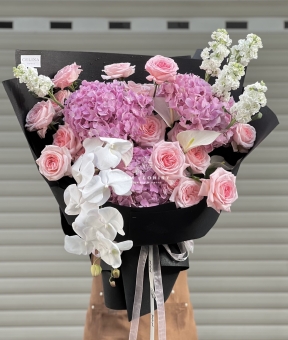 “Serene Elegance – Thanh Âm Của Sự Bình Yên”