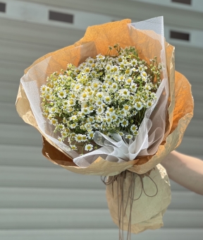 “Tana’s Whisper – Lời Thì Thầm Của Nắng”