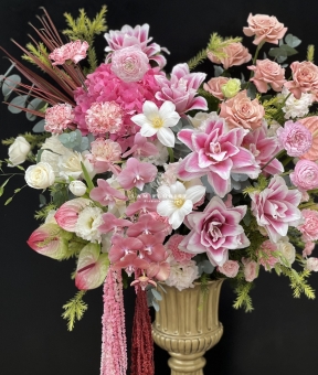 Dáng Hồng Thanh Xuân - “The Blush Symphony”