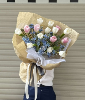 “White Melody – Giai Điệu Dịu Dàng”