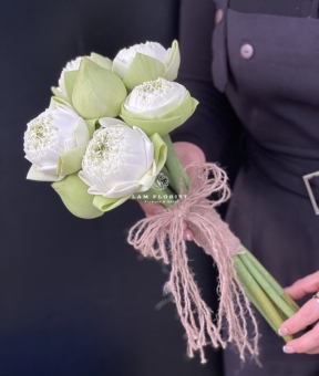 TINH LIÊN - HOA CÔ DÂU ĐẶC BIỆT