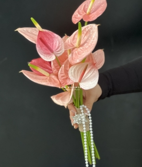 'HỒNG NGỌC CHÂU SA'