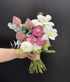 “Hồng Sen Dịu Ái”