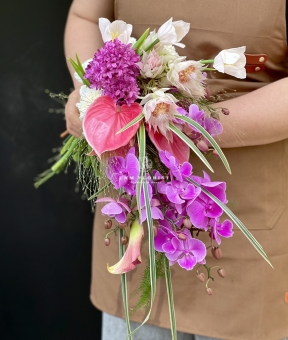  “Dáng Hồng Thác Mộng"