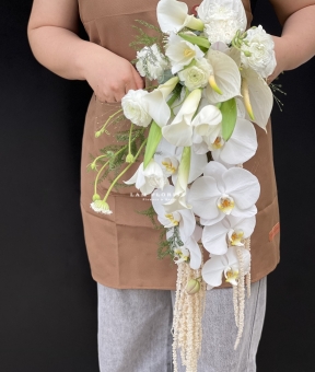 “Dòng Trắng Vĩnh Cửu”