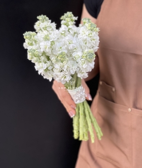 TÌNH SƯƠNG TRẮNG - HOA CƯỚI