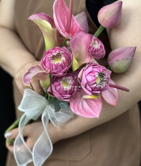 HƯƠNG SEN TÌNH YÊU