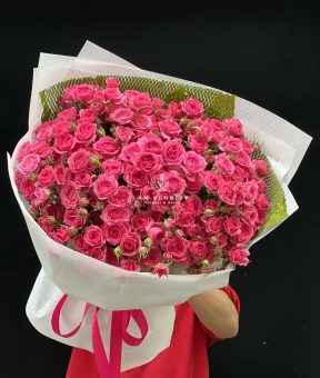 “Sofia Rực Rỡ – Lời Yêu Thương Ngọt Ngào”