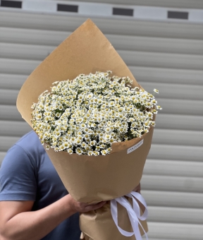 “Tana Melody – Giai Điệu Của Nắng”