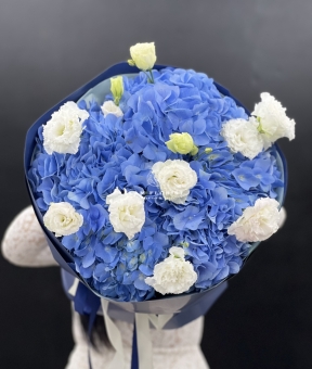 “Blue Dream – Giấc Mơ Xanh”