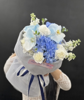 “Blue Serenade – Giai Điệu Xanh”