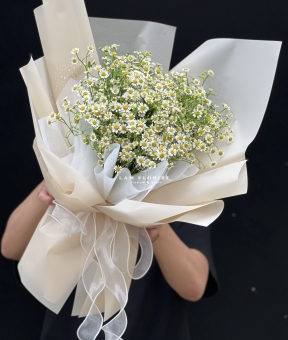 “Tinh Khôi Nắng Sớm” ☀️