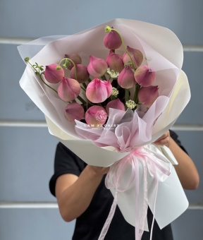 “Sen Hồng Thuần Khiết – Nét Đẹp Tĩnh Lặng và Cao Quý”