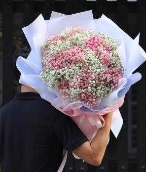  “Blush Cloud – Áng Mây Hồng Trắng”