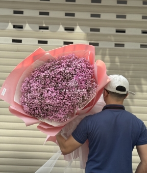 “Baby Hồng Mây – Vẻ Đẹp Mong Manh Như Áng Sớm