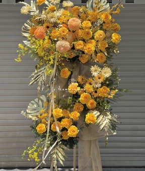 “Vươn Tầm Rực Rỡ”