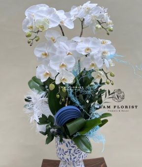 Chậu hồ điệp trắng 4 cành sang trọng