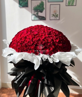 Bó Hồng Ecuador 520 bông "ANH YÊU EM'