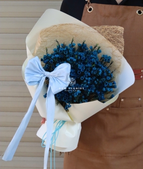 “Blue Serenity – Bình Yên Dịu Nhẹ”