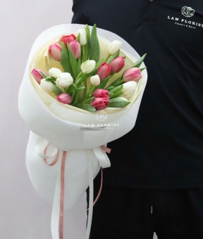 'Tulip Whisper – Lời Thì Thầm Thanh Xuân”