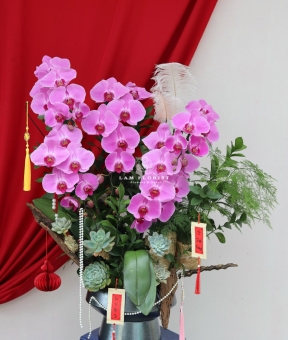 “Tử Ngọc Thanh Nhã – Dịu Dàng Phú Quý”