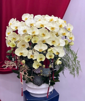 “Kim Ngọc An Nhiên – Thanh Sắc Phú Quý”