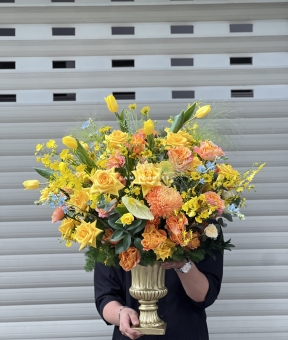 “Ánh Dương Rực Rỡ – Sắc Vàng Hân Hoan”