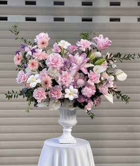 “Blush Serenity – Bản Tình Ca Dịu Dàng”