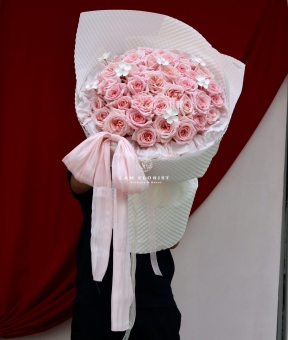 “Pink Ballet – Vũ Điệu Dịu Dàng”