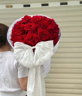 “Hồng Ecuador – Lời Yêu Trọn Vẹn”