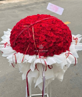 “300 Hồng Ohara Đỏ – Biển Tình Bất Tận”