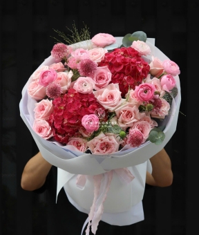 “Tú Cầu Nhập Khẩu – Bản Tình Ca Tím Hồng”