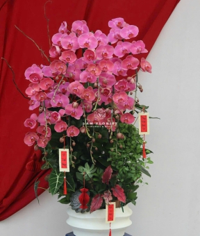 “Lan Hồ Điệp Tím – Phú Quý An Nhiên”