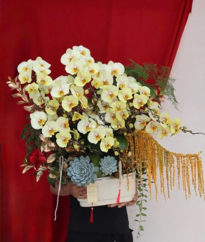 “Lan Hồ Điệp Vàng – Phú Quý Kim An”