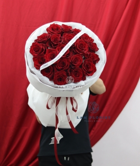 “Hồng Đỏ Ecuador – Lời Yêu Thuần Khiết”