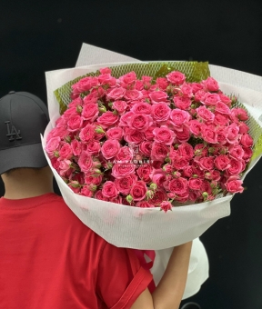 “Hồng Sofia Nhập Khẩu – Ngọt Ngào Rực Rỡ”