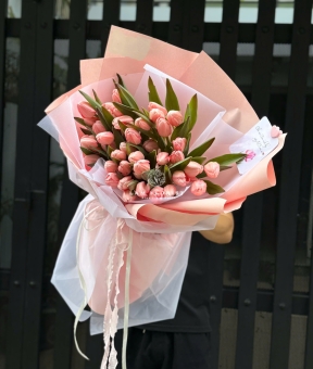 “Tulip Hồng Nhập Khẩu – Dịu Dàng Yêu Thương”