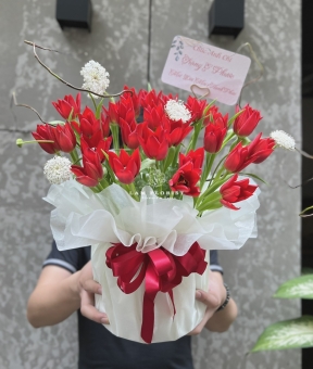 Hộp Hoa Tulip Đỏ Nhập Khẩu